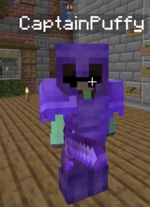 Featured image of post Captain Puffy Minecraft Skin Dream Smp