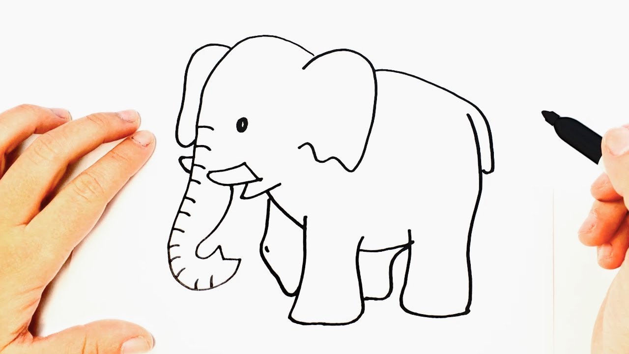 Featured image of post Como Dibujar Un Elefante Paso A Paso